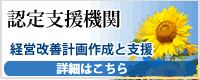 金融円滑化法,経営改善計画,経営計画,