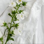 相続が発生した場合はお早めに相談ください【消費税】